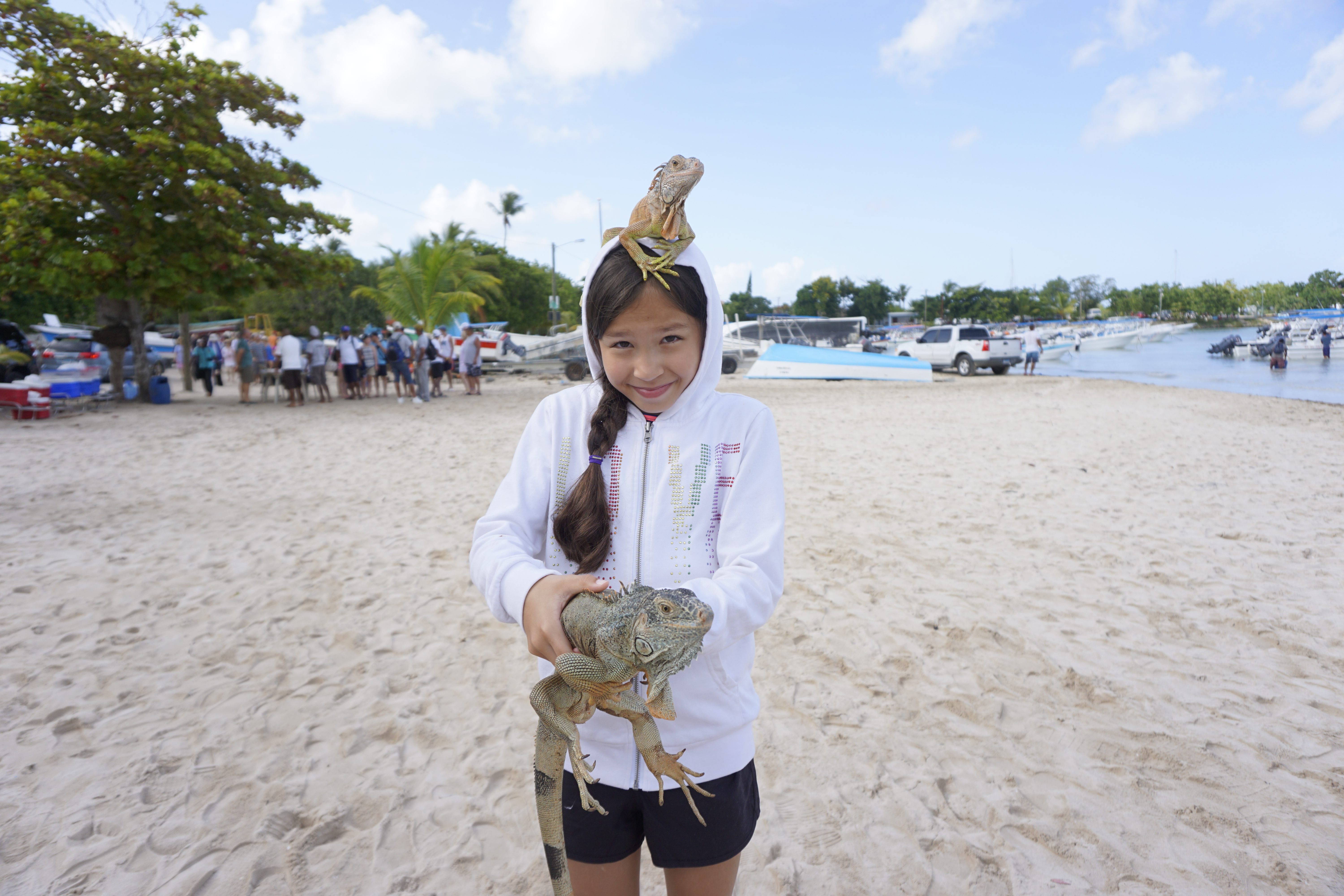 islasaona iguanas