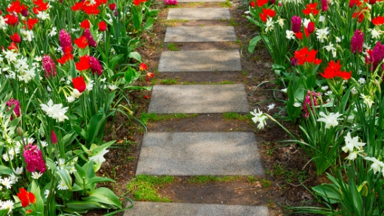 stone path