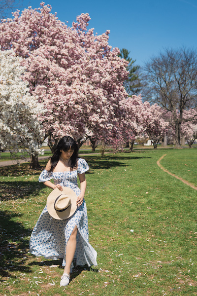 vintage floral dress