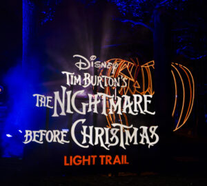 The Nightmare Before Christmas Lights Trail