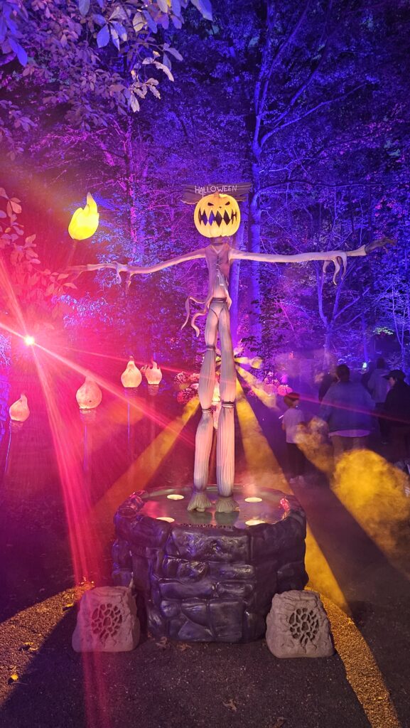 The Nightmare Before Christmas Lights Trail.