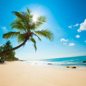 beach