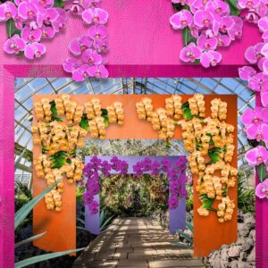 the orchid show